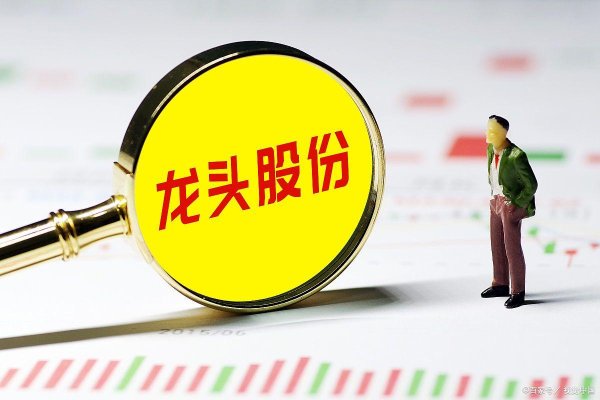 股票配资选股 龙头股份600630的前世今生